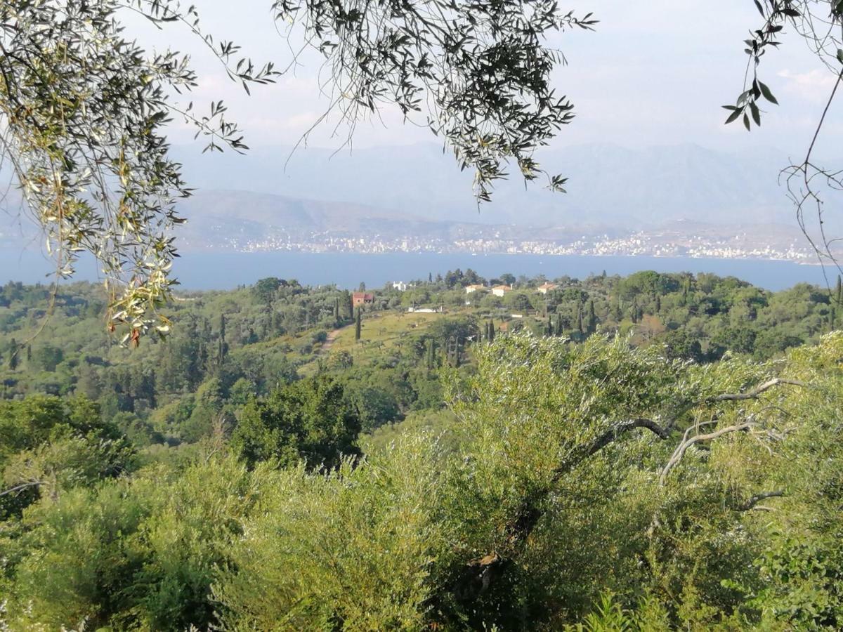 Olive Grove Deluxe Apartment Agnítsini Eksteriør billede