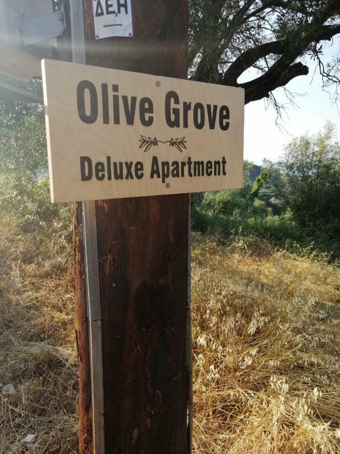 Olive Grove Deluxe Apartment Agnítsini Eksteriør billede